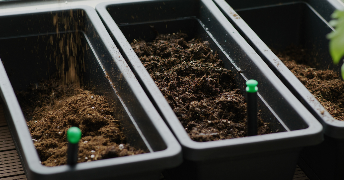 Potting mix being added to black rectangular planters with green watering indicators
