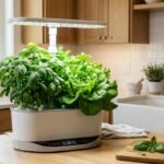 Countertop hydroponic growing system with basil and lettuce under an LED grow light