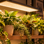 Full-spectrum LED grow light panel illuminating a shelf of lush houseplants