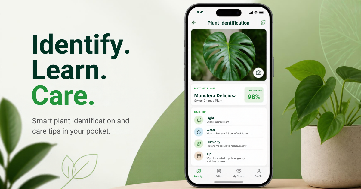 Illustrative smartphone screen showing a Monstera deliciosa identification result