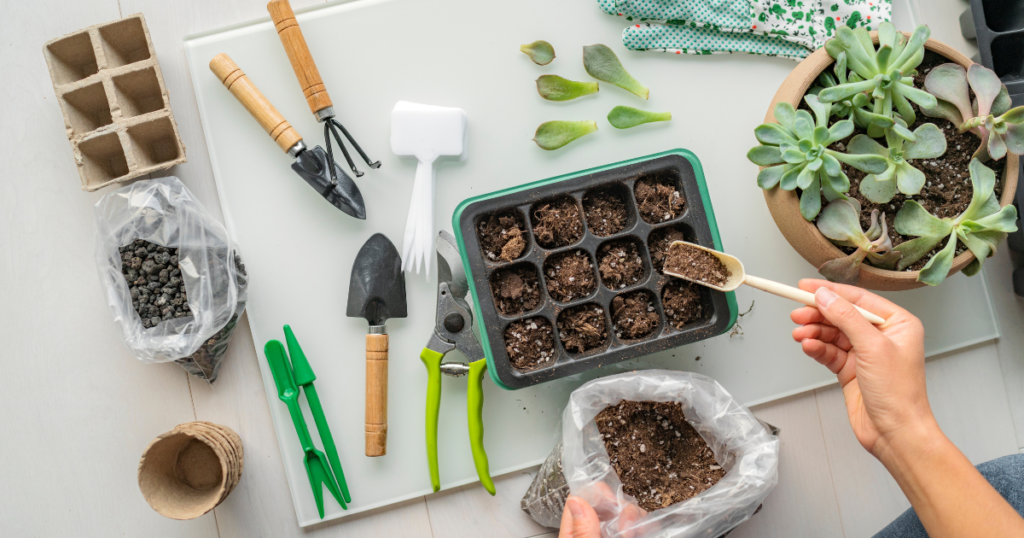 Seed tray, small pots, planting tools, and seed starting mix arranged on a work surface