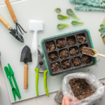Seed tray, small pots, planting tools, and seed starting mix arranged on a work surface