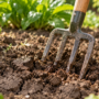 Garden fork breaking up dry, cracked soil in a vegetable bed